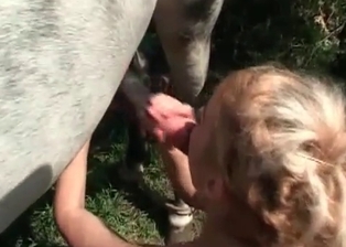 Stallion and chick like farm bestiality