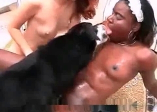 Latina sluts are all about having lots and lots of sex