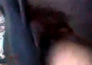 Slutty zoophile drilled by a hardcore Doberman