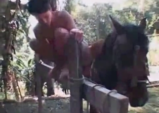Stallion in a truly great farm bestiality XXX