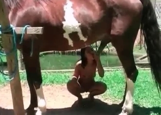 Bitch is raped in her puss by hound